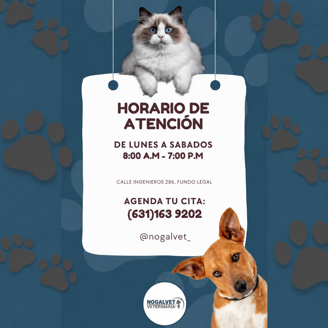 Horario de atención de NogalVet: de lunes a sábado de 8:00 a 19:00