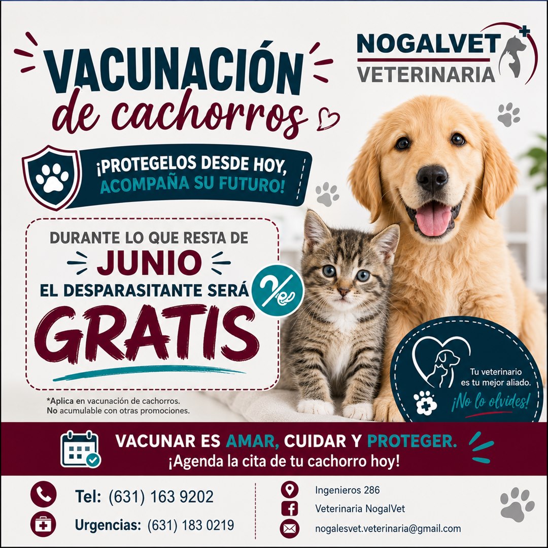 Promoción de vacunación de cachorros en NogalVet con desparasitante gratis durante junio